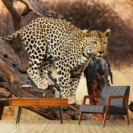 Fotomural Leopardo